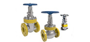 HF ACID Valves