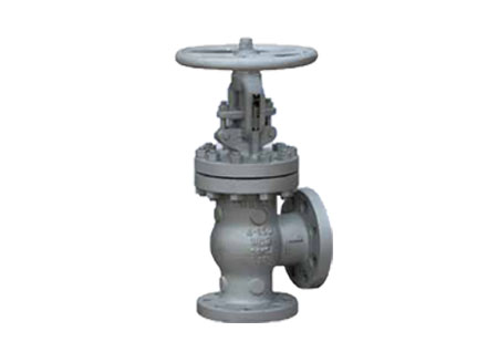 Angle Globe Valve