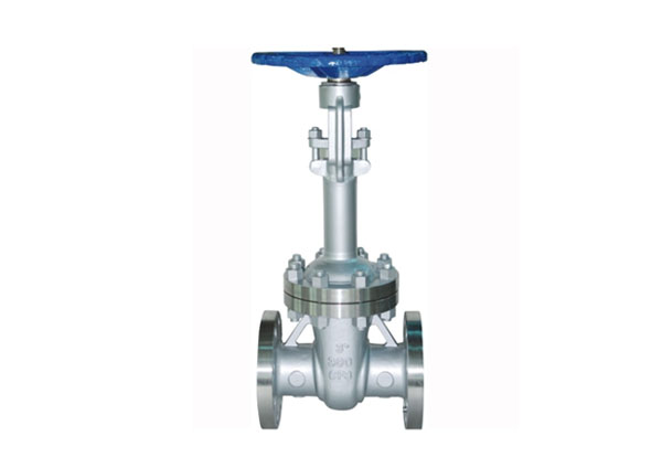 Cryogenic Gate Valves