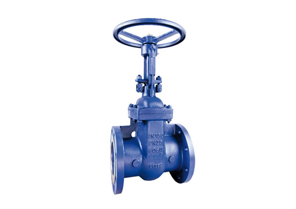 DIN gate valve