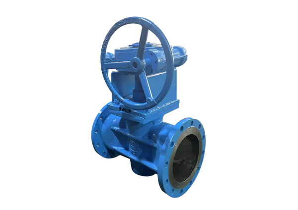 Eccentric Plug Valve