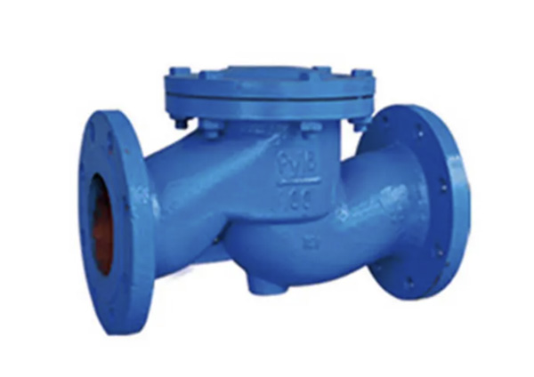 Lift Check Valve