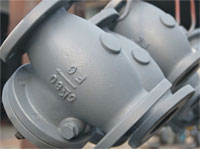 Marine Check Valves