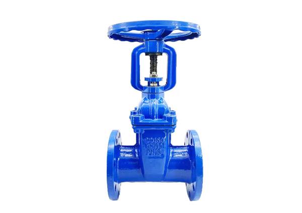 Rising Stem Metal Seated Gate Valve