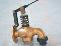 Self Closing Drain Valve