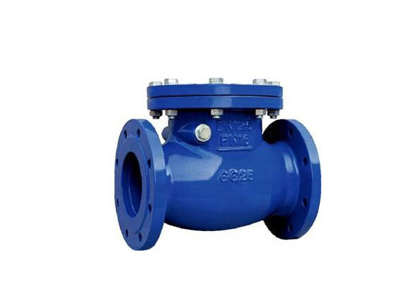 Swing Check Valves