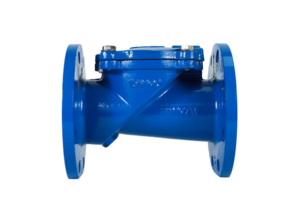 Swing Flex Check Valve