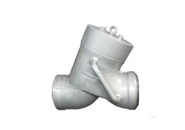 Y Pattern Check Valves