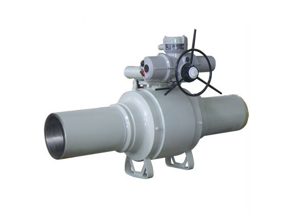 Extended fully welded ball valve