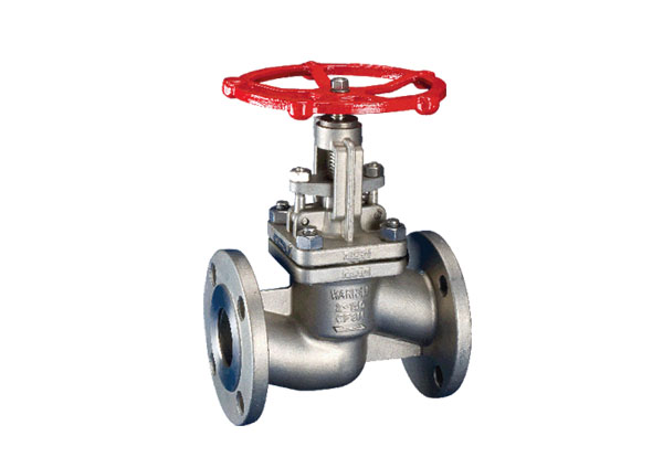 Stainless steel globe valve